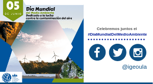 web ambiente