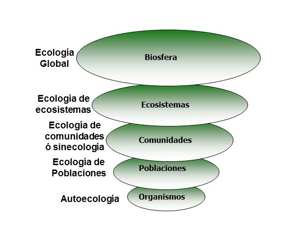 Ecología