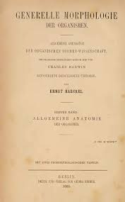 Libro Haeckel
