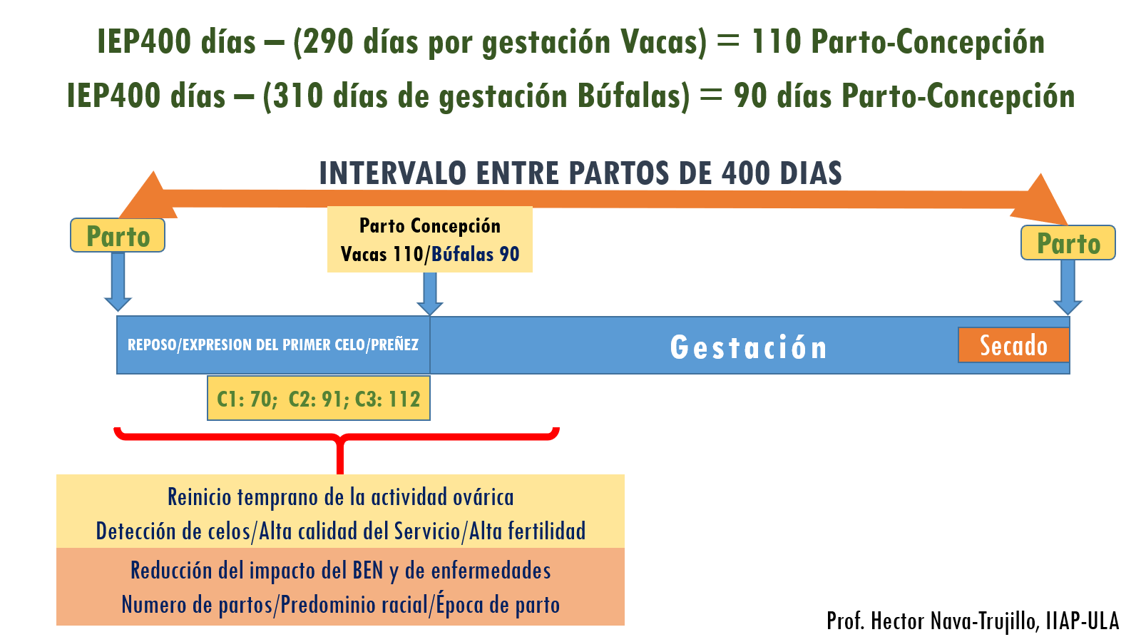 Screenshot (809)