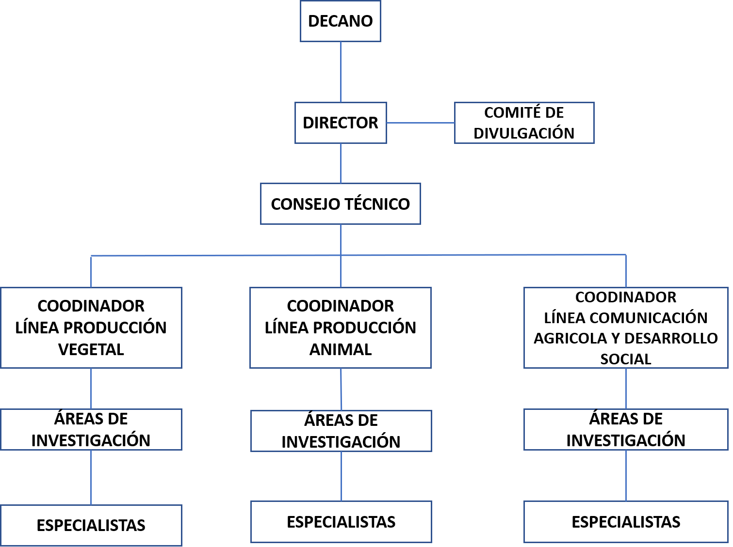 organigrama