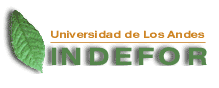 logo de indefor