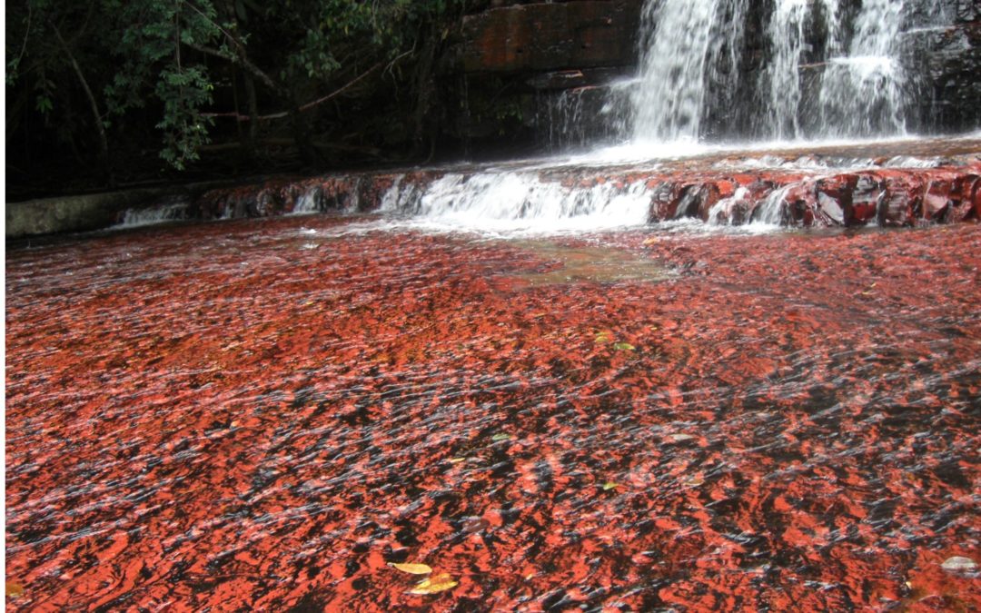 Avances en la cartografía geológica de la Guayana Venezolana